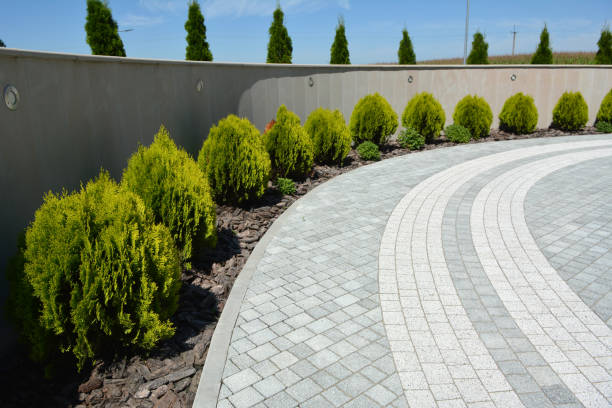 Best Professional Driveway Pavers  in Cedar Hill, MO